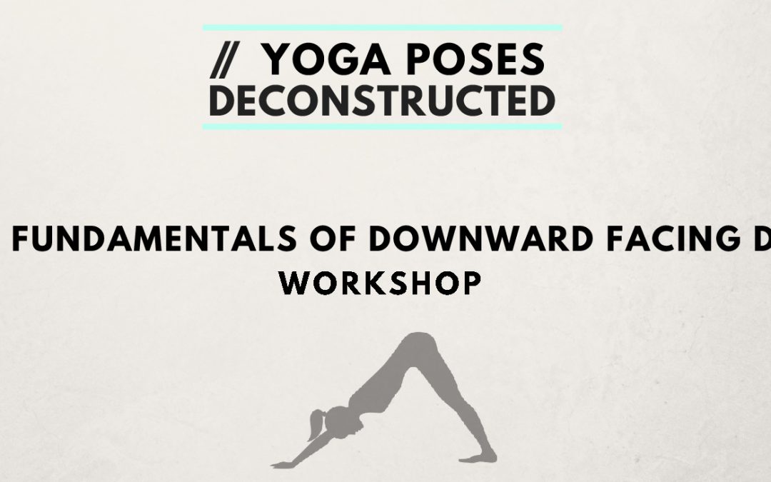 Yoga Poses Deconstructed Workshops