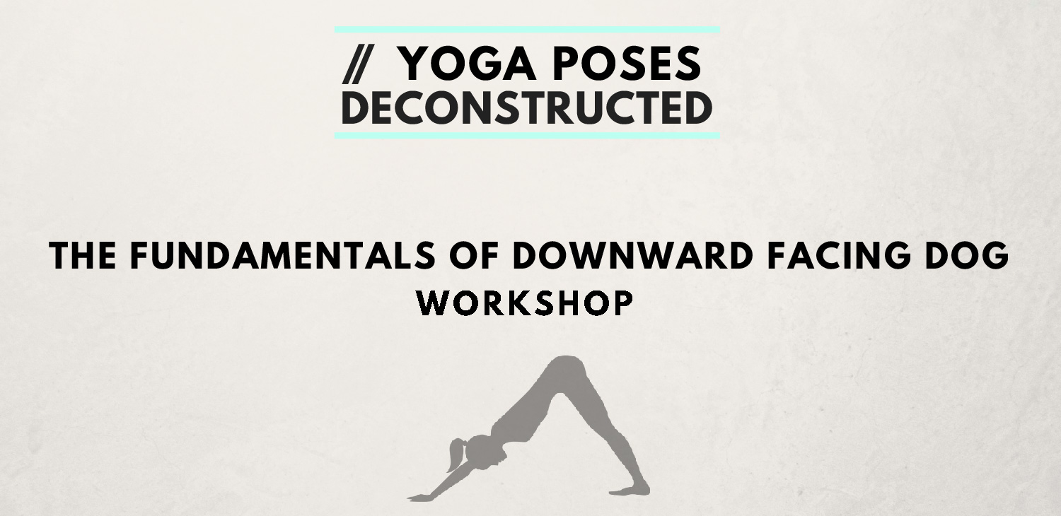 Yoga Poses Deconstructed Workshops