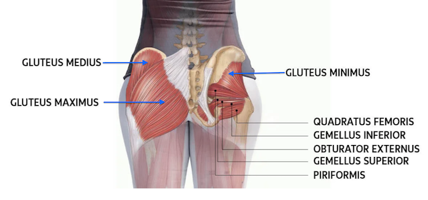 The Glutes