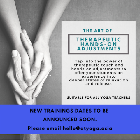 The Art of Therapeutic Hands-On Adjustments – Next Training Date TBA